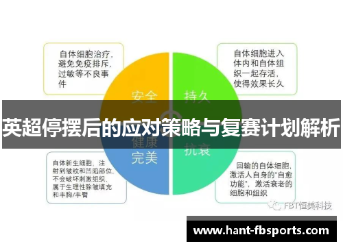 英超停摆后的应对策略与复赛计划解析 英超停摆后的应对策略与复赛计划解析